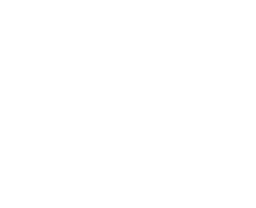Seara-Logo-White