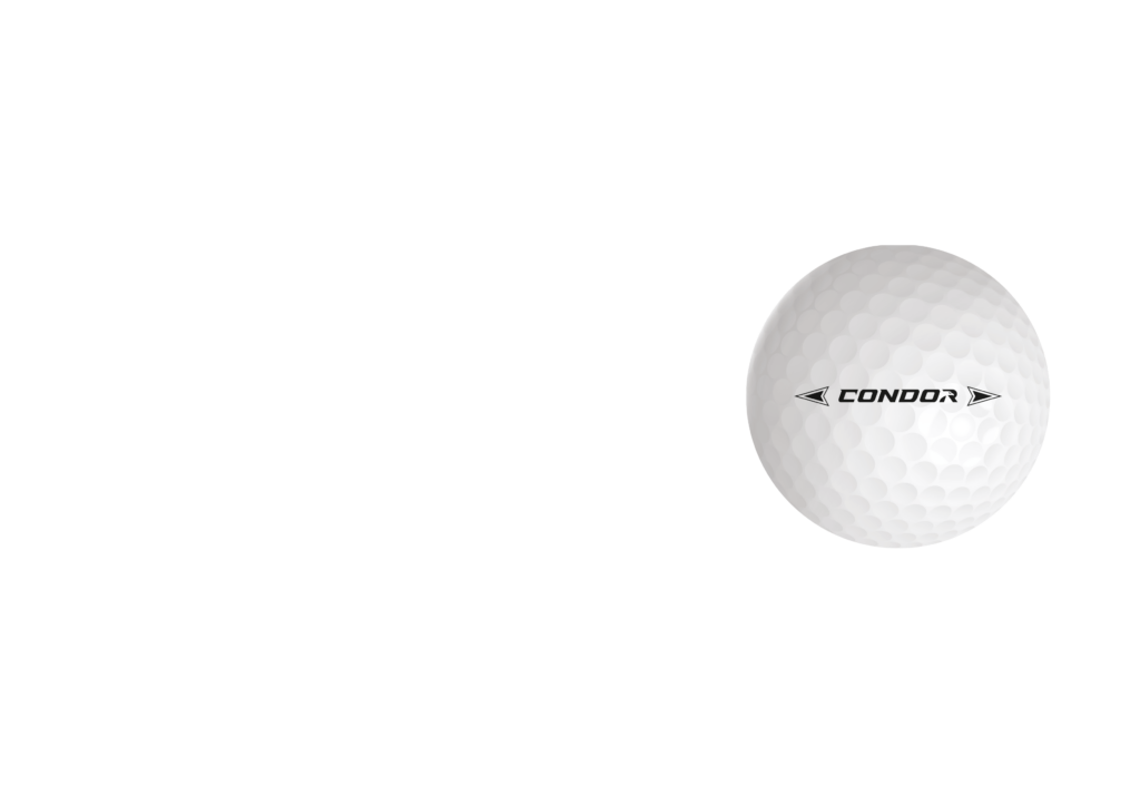 volvik_par3_logo WO